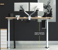 ESI Triumph Electric Desk Adjustable Height Table Base